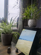 Satori Sanctuary Place (2024)